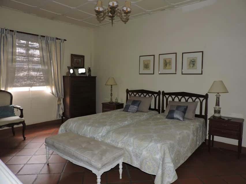 Vista 21