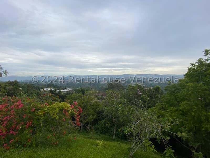View 3