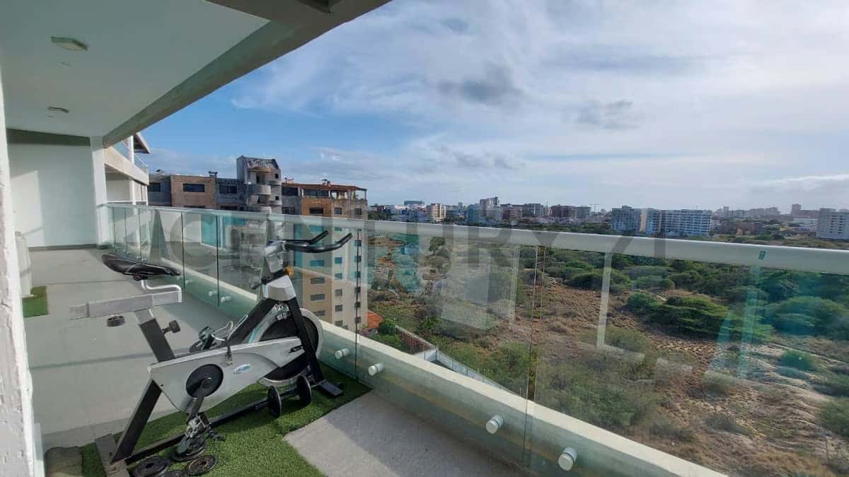 Vista 14