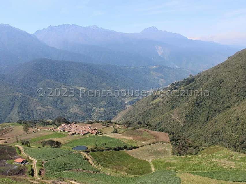 View 21