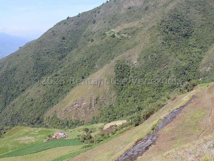 View 22