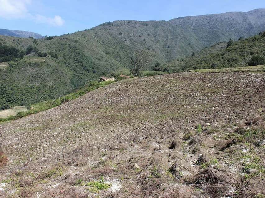 View 24