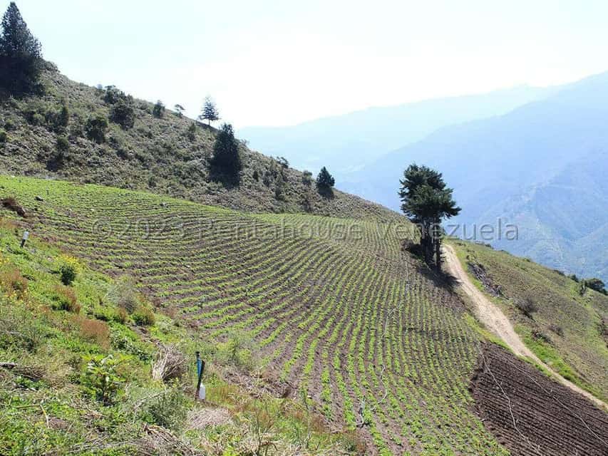 View 28