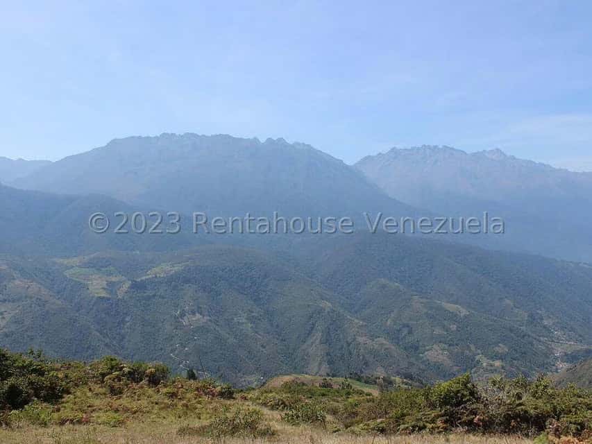 View 35