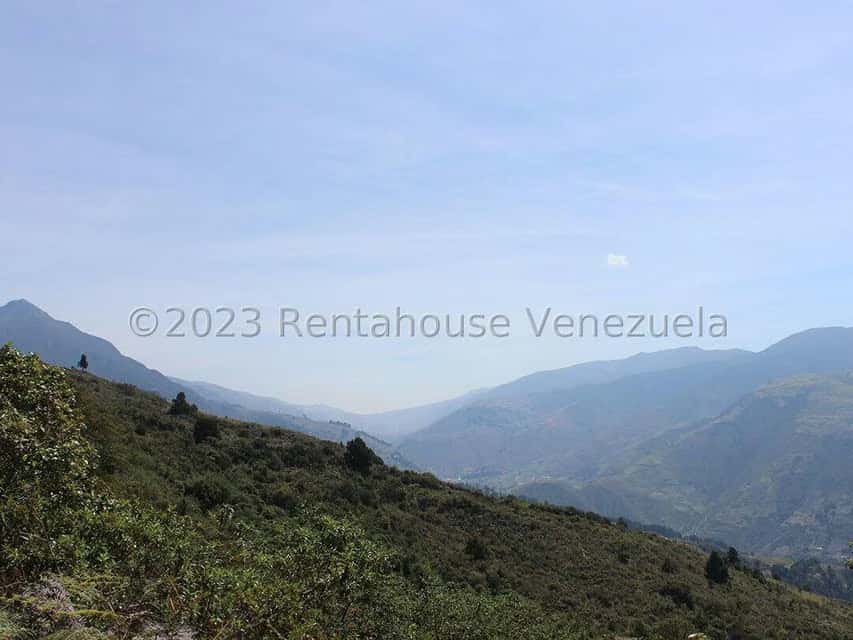 View 37