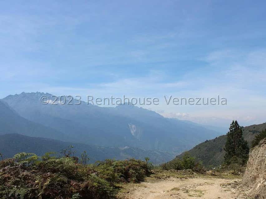 View 38