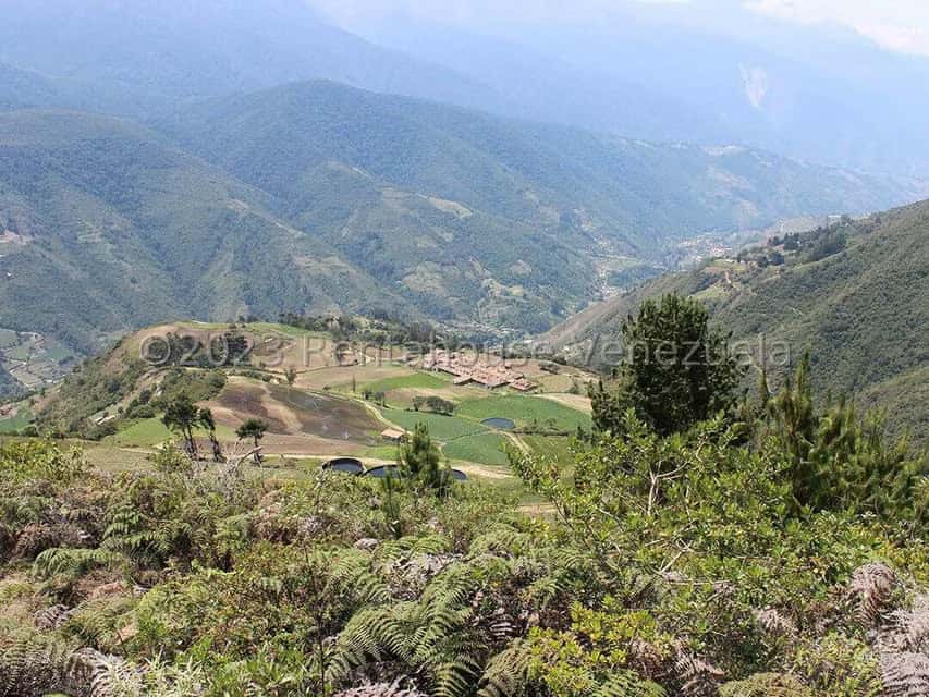 View 49