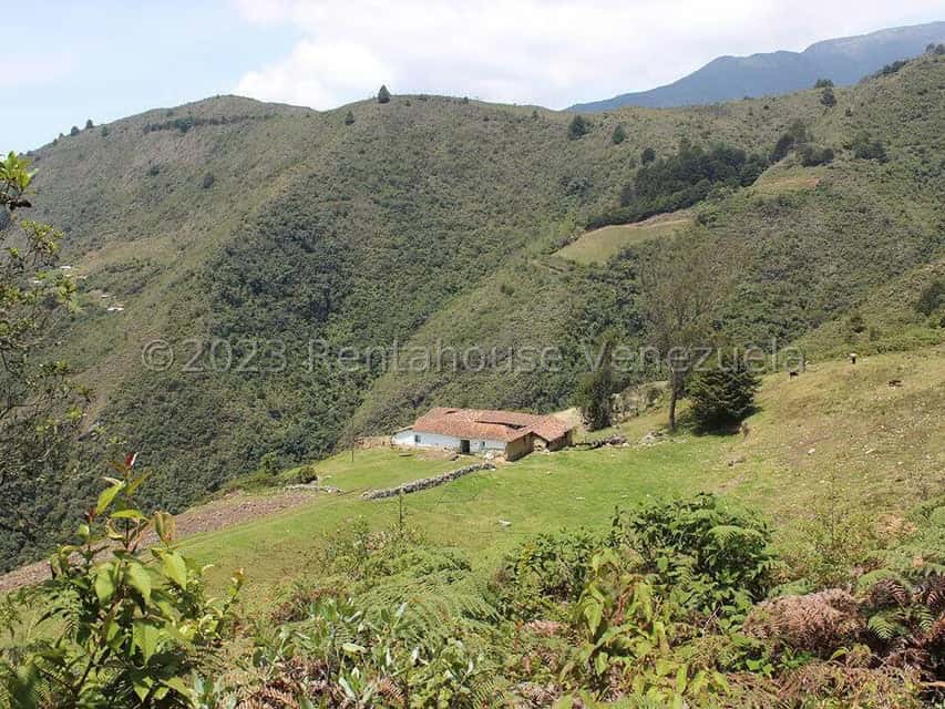 View 52