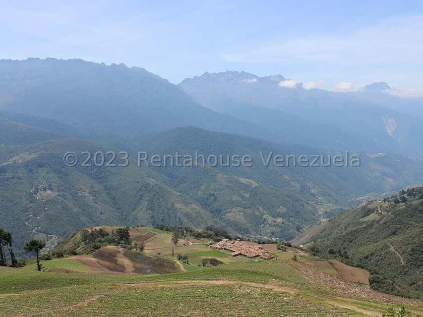 View 54