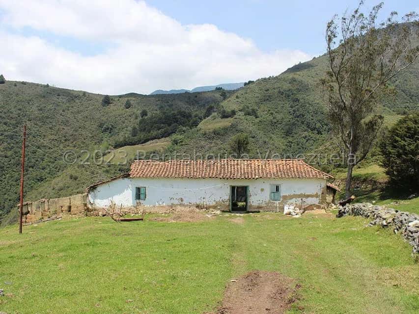 View 58