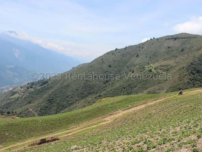 View 63