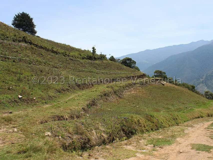 View 70