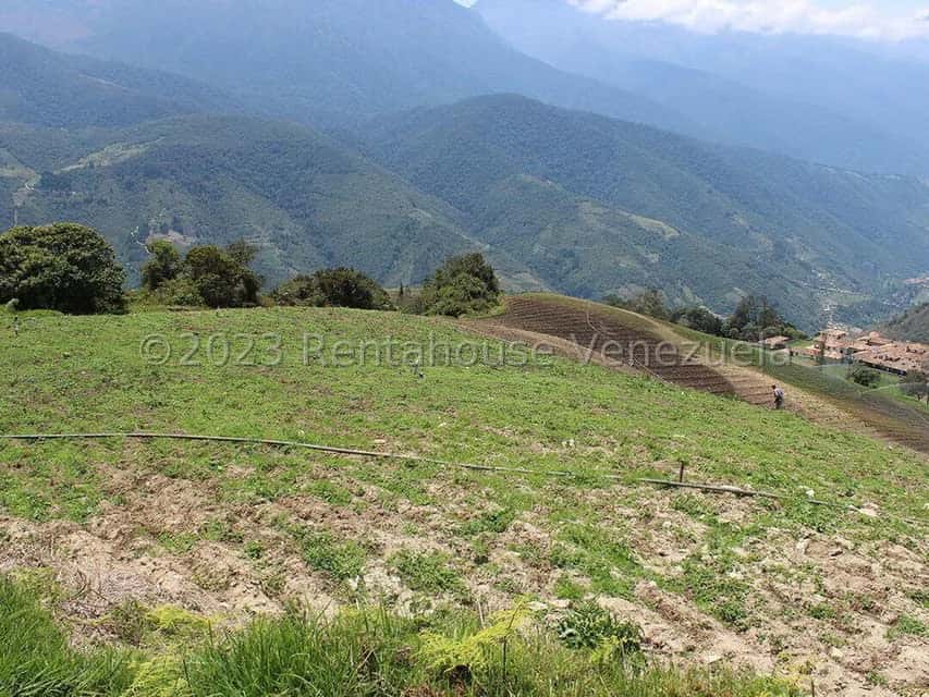 View 73