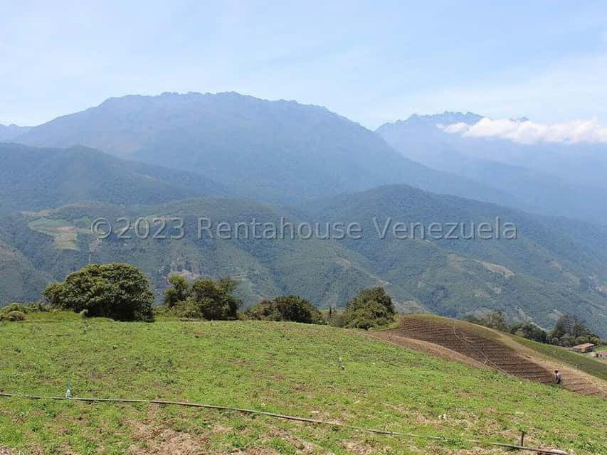 View 74