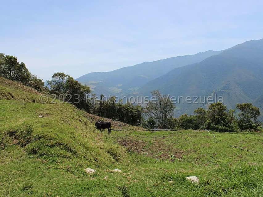 View 77