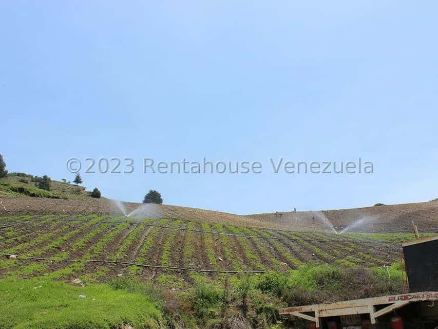 View 79