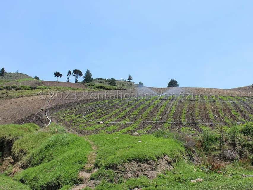 View 80