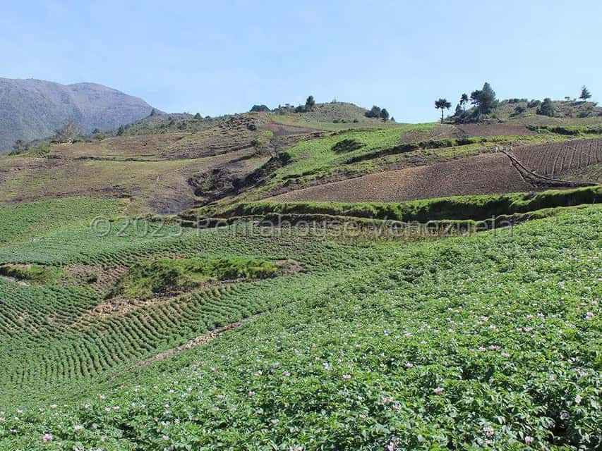 View 10