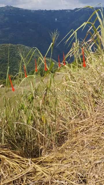 View 5