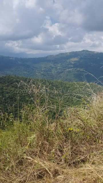 View 7