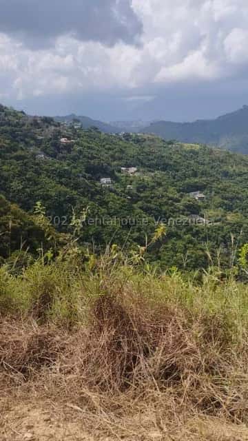 View 8