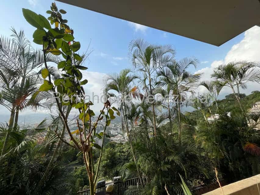 View 55