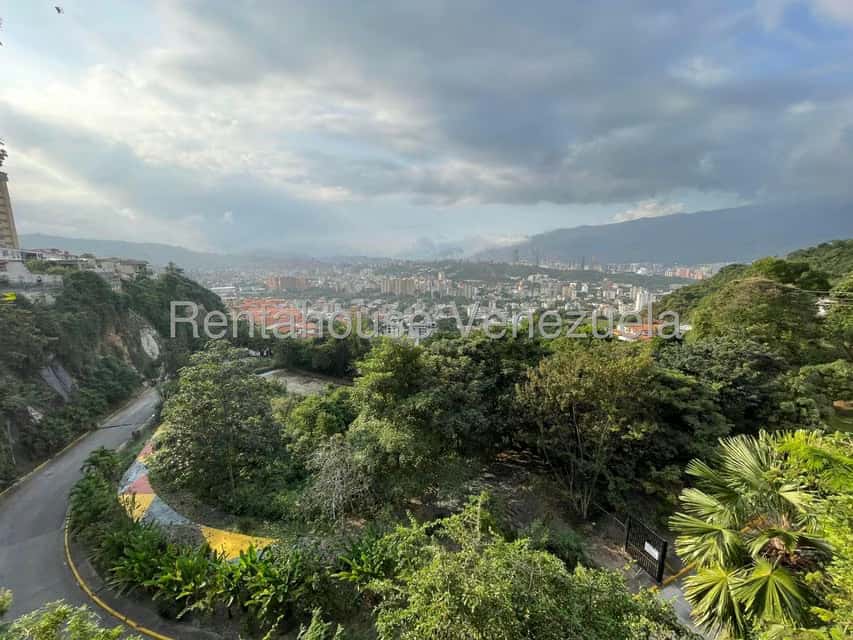 View 61