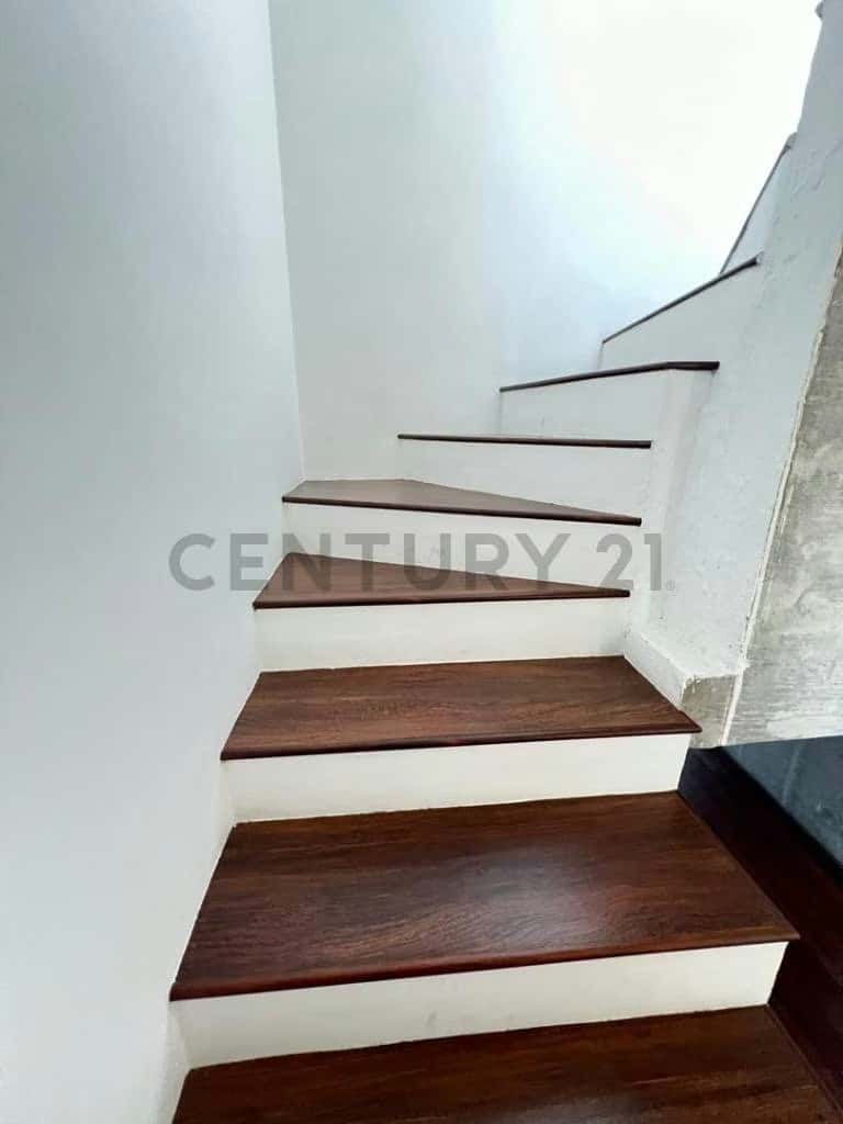 Vista 5