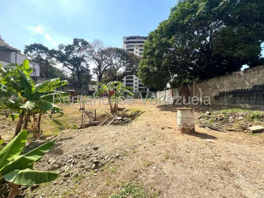Vista 17