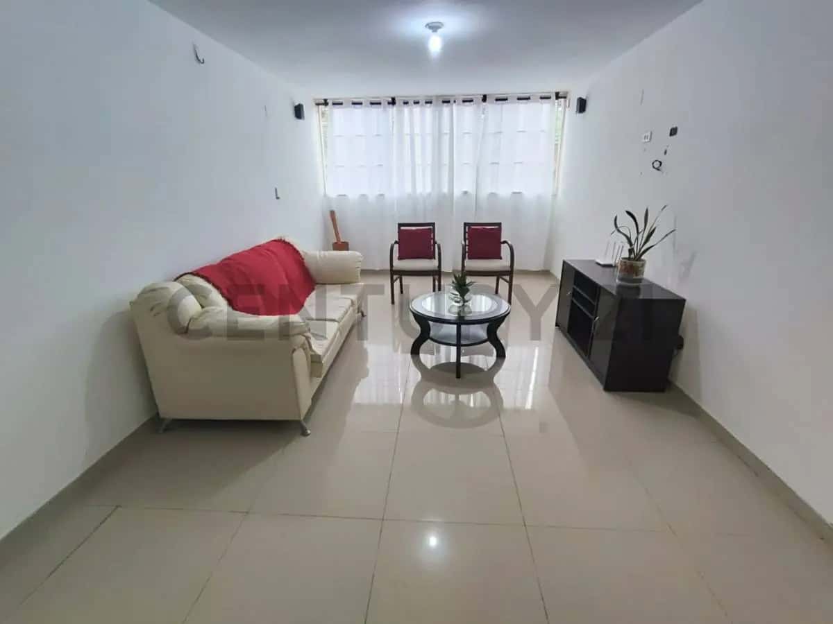 Vista 3