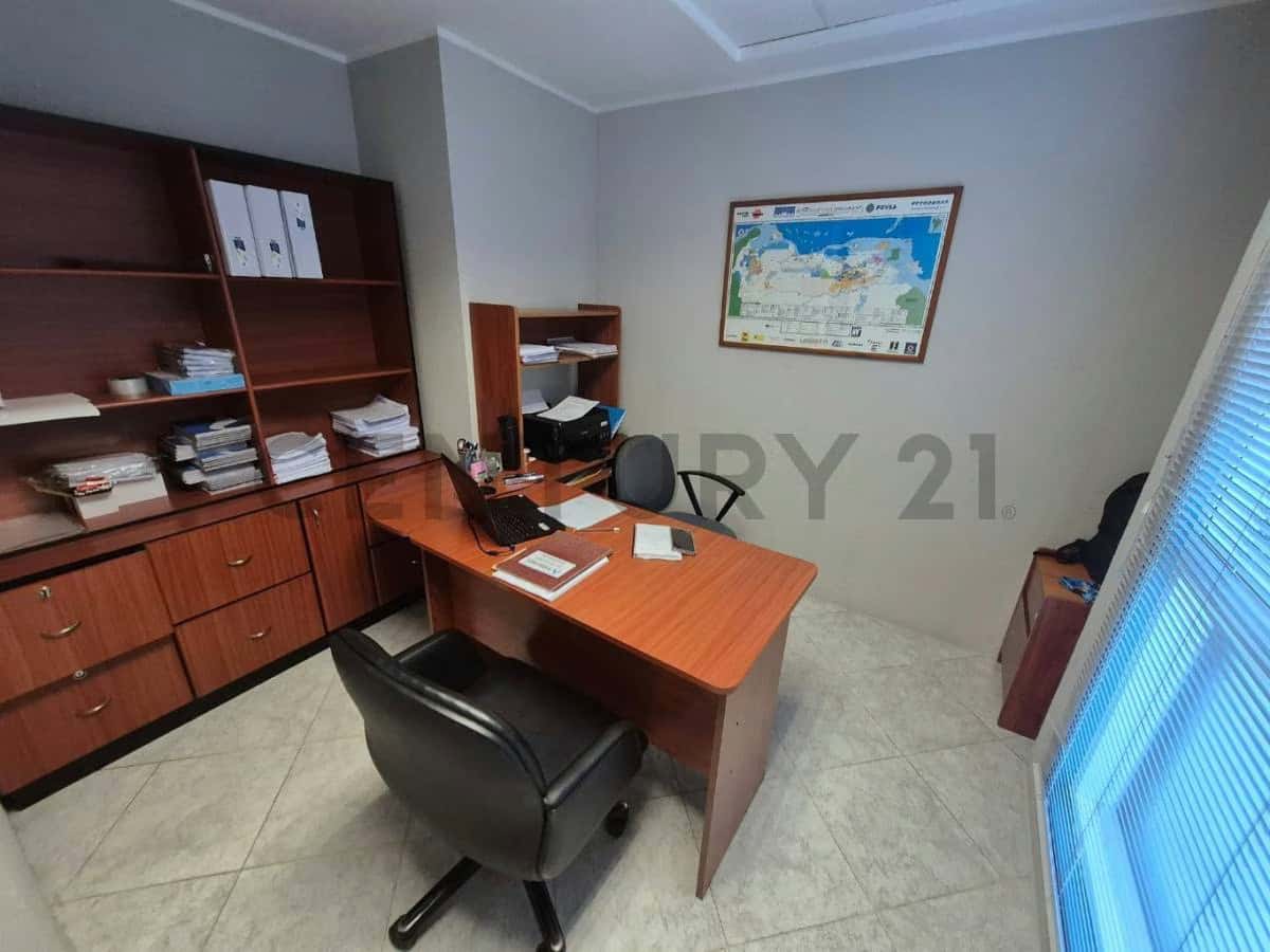 Vista 4
