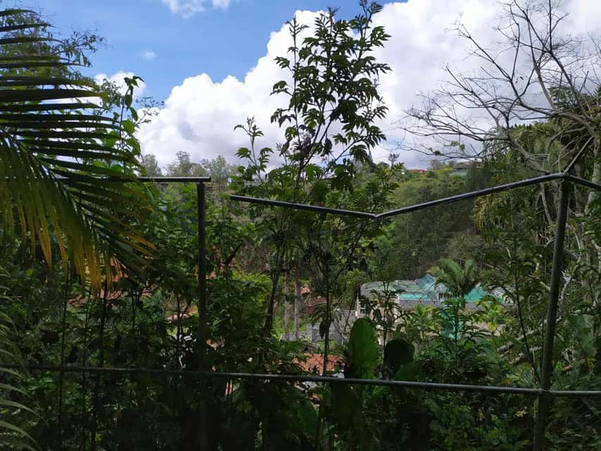 View 113