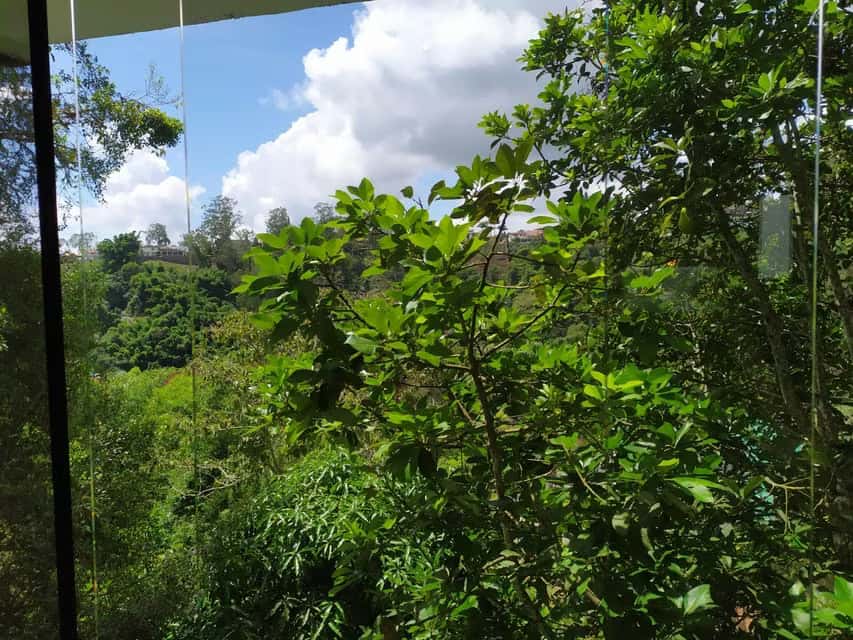 View 133