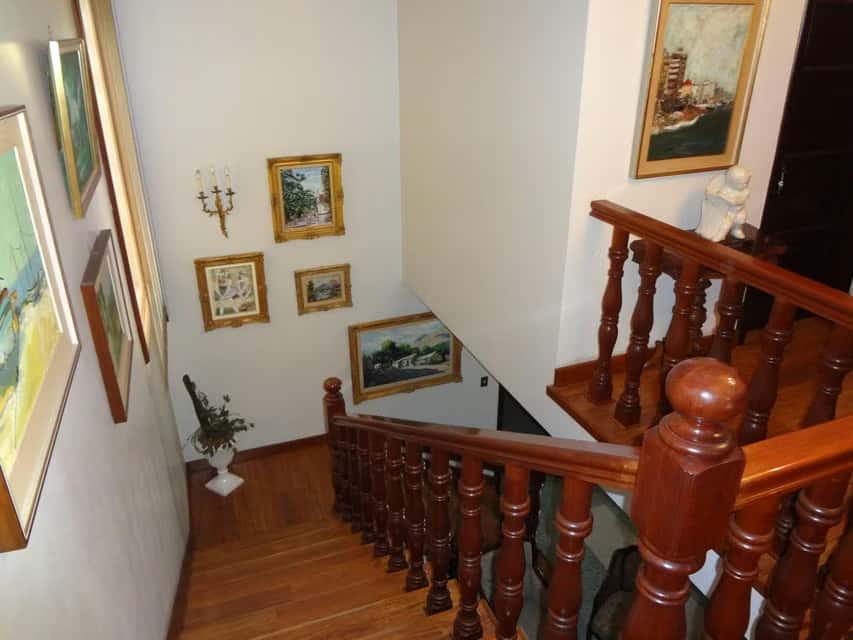 Vista 12