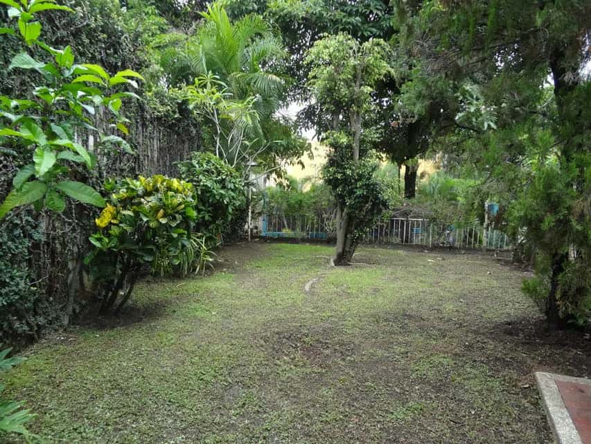 Vista 29