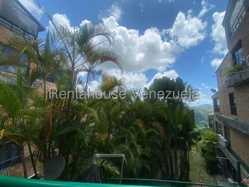 View 29