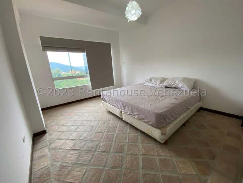 Vista 19