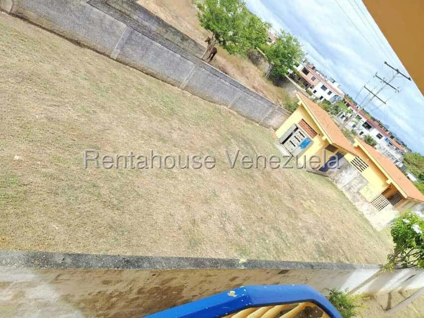 Vista 5