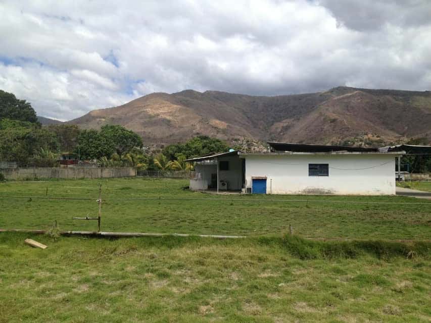 Vista 14