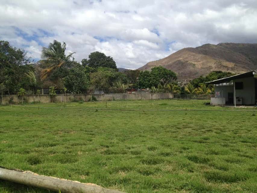 Vista 15