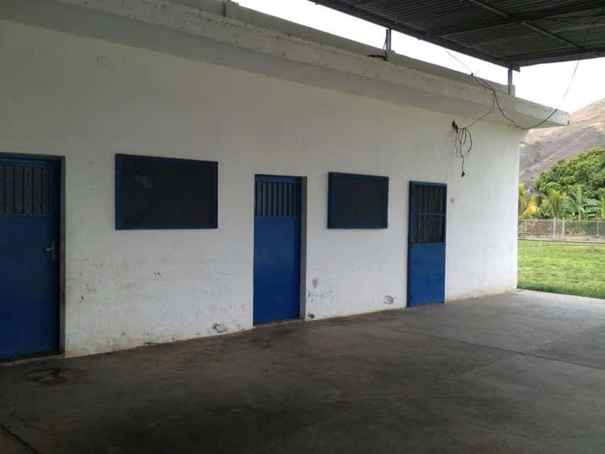 Vista 19