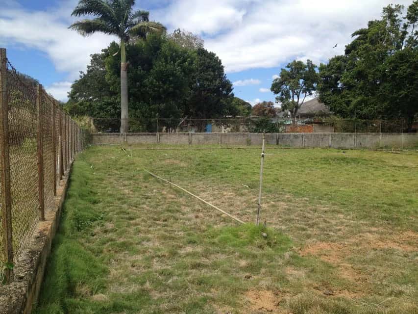 Vista 3