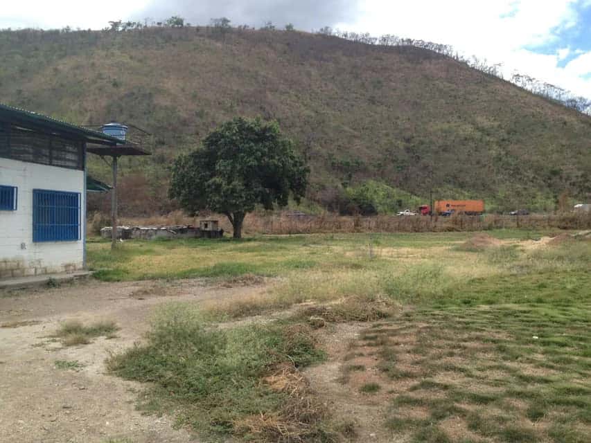 Vista 42