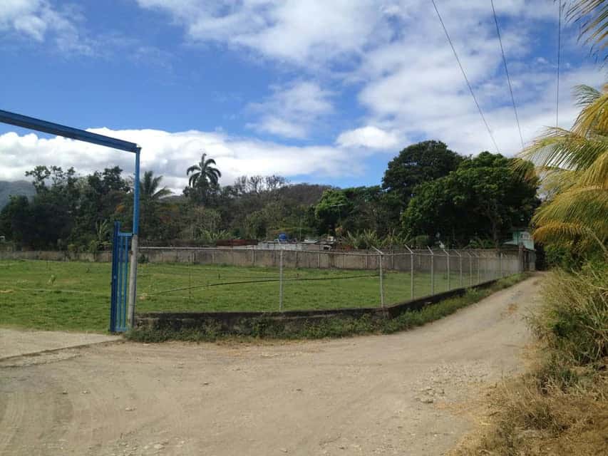 Vista 6