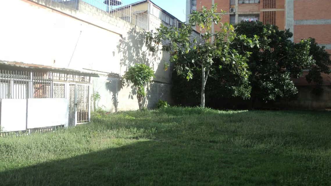 Vista 4