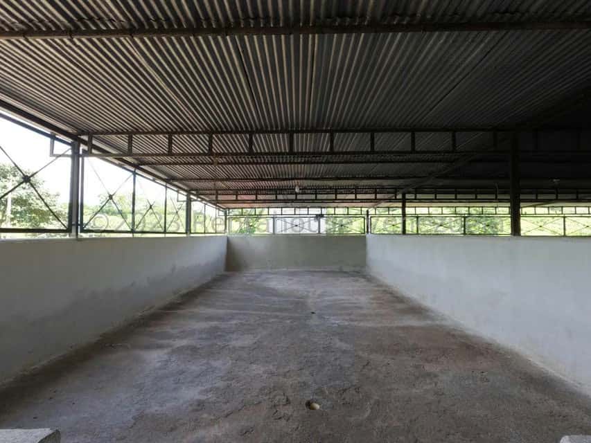 View 26