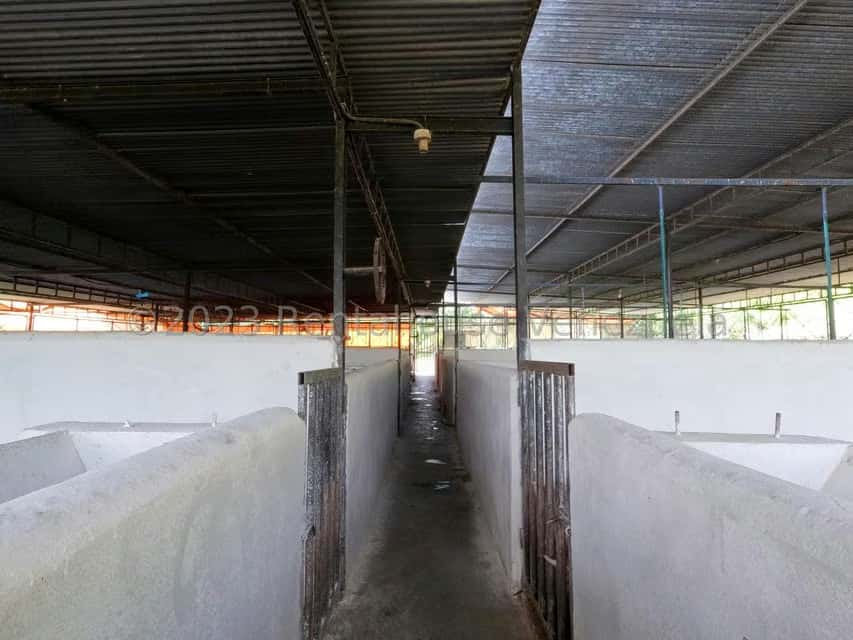 View 27