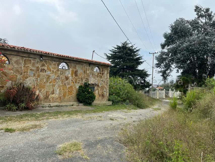 Vista 19