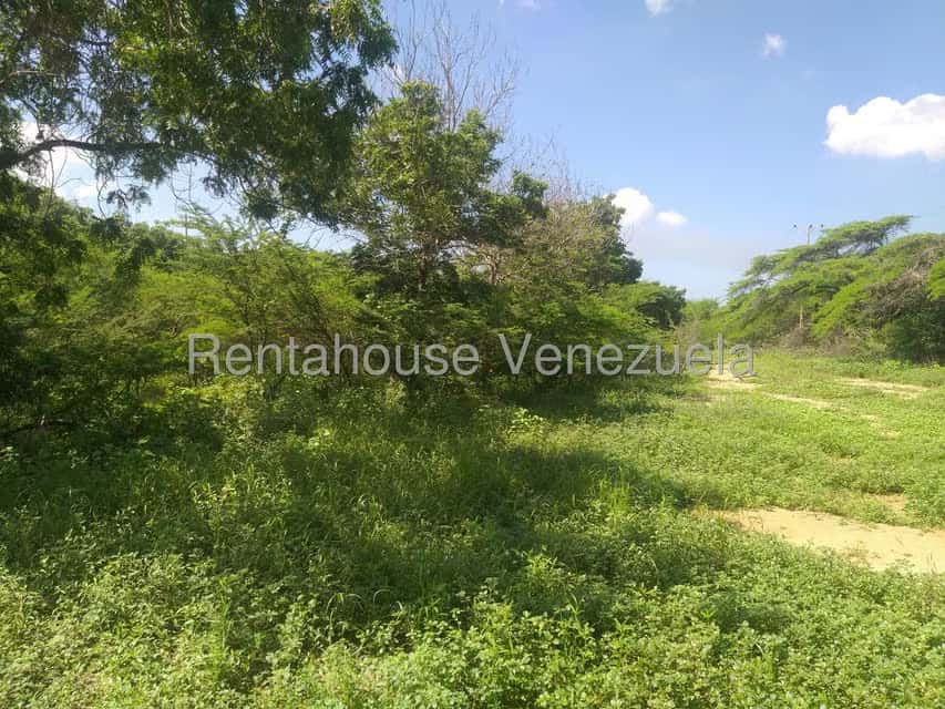 Vista 9