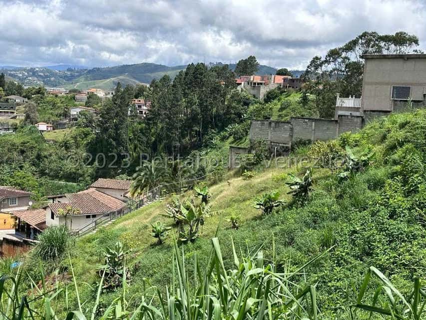 View 12